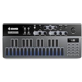 Amazon.ca: Synthesizers - Keyboards & Pianos: Musical